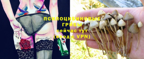 spice Алексеевка