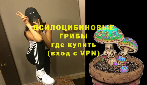 синтетический гашиш Алексин