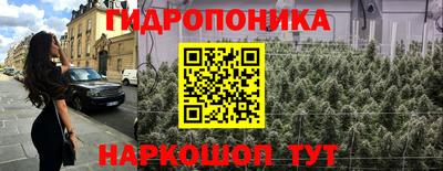 молекула духа Партизанск