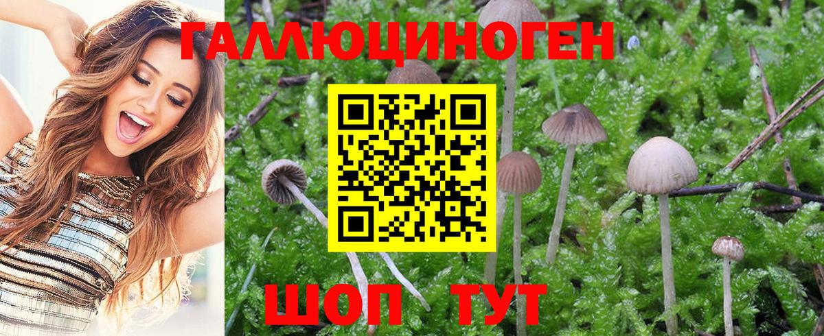 Псилоцибиновые грибы ЛСД Феодосия