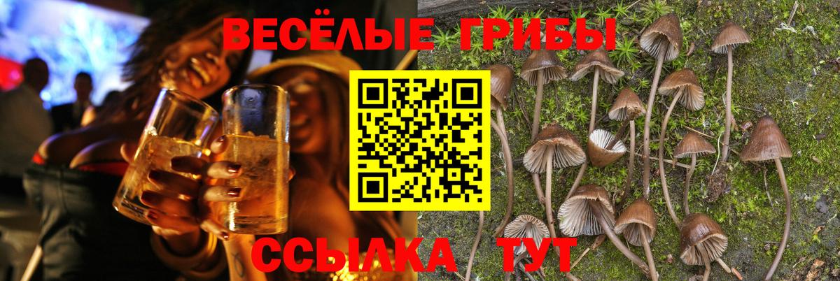 что такое наркотик  Псилоцибиновые грибы Psilocybe  Вход с VPN  Феодосия 